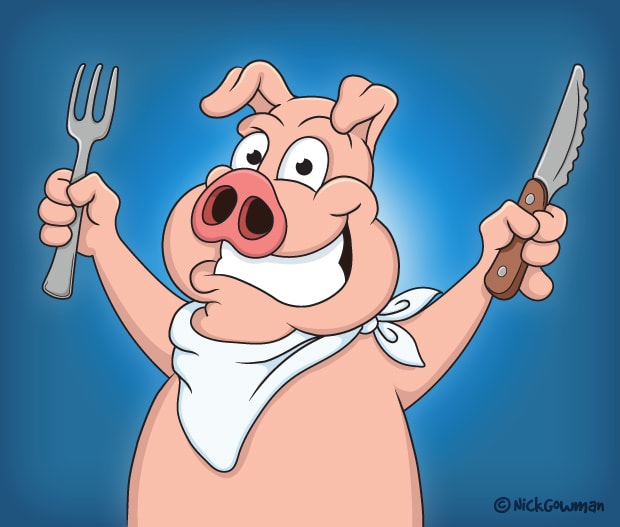 Cartoon Pig