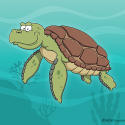 Cartoon Sea Turtle