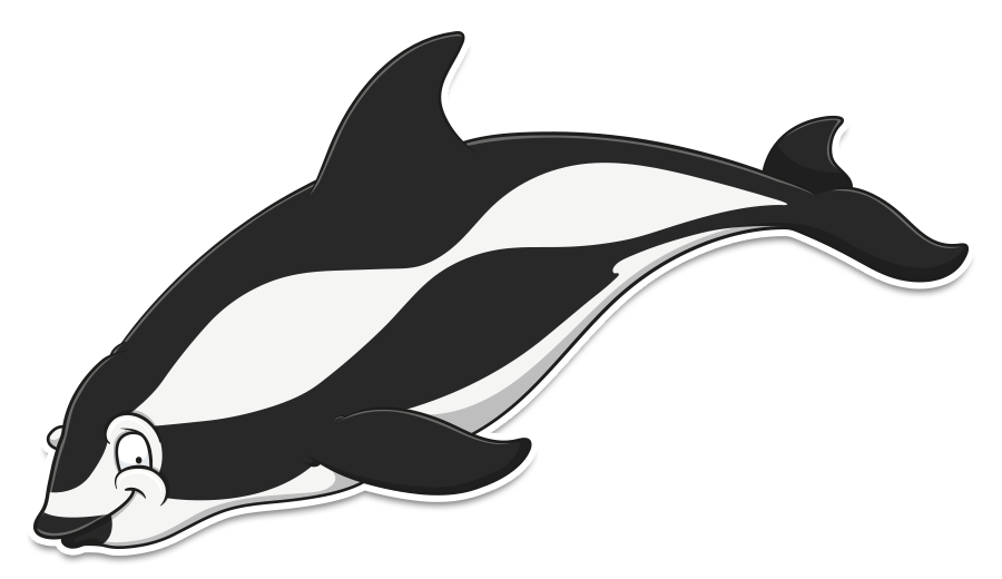 cartoon dolphin