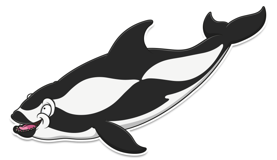 cartoon dolphin