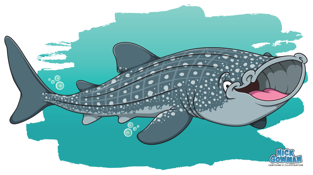 Whale shark cartoon  Fun cartoon whale shark illustration