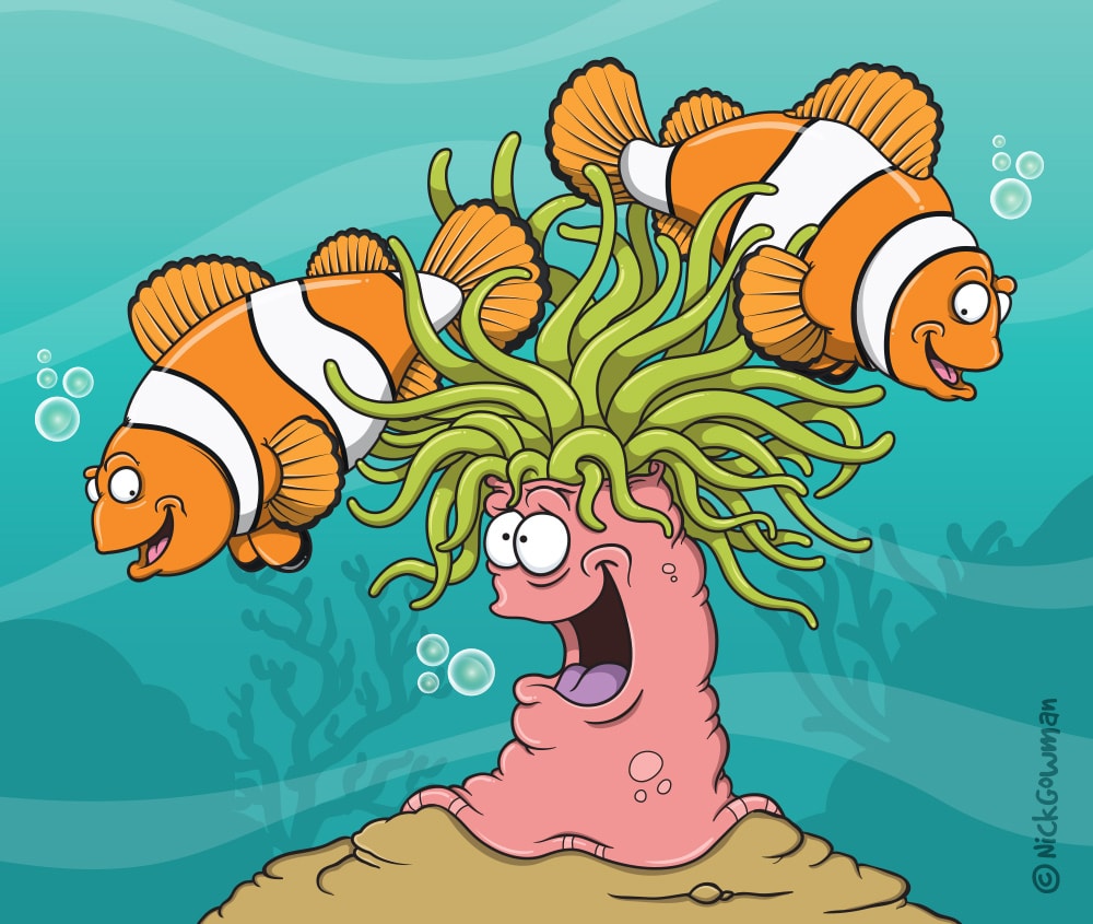 Clownfish ahoy! | Friendly cartoon reef fish | Sea creature cartoons