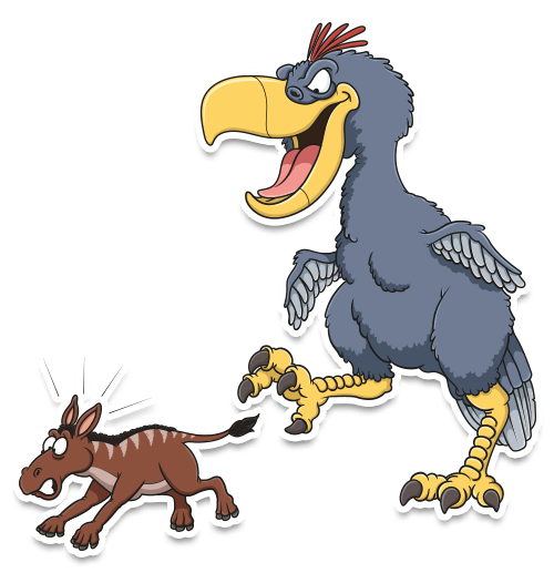 prehistoric bird paraphysornis
