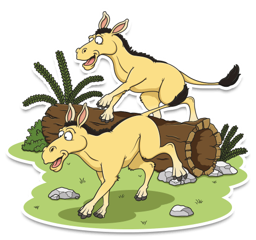 prehistoric horse orohippus prehistoric horse orohippus